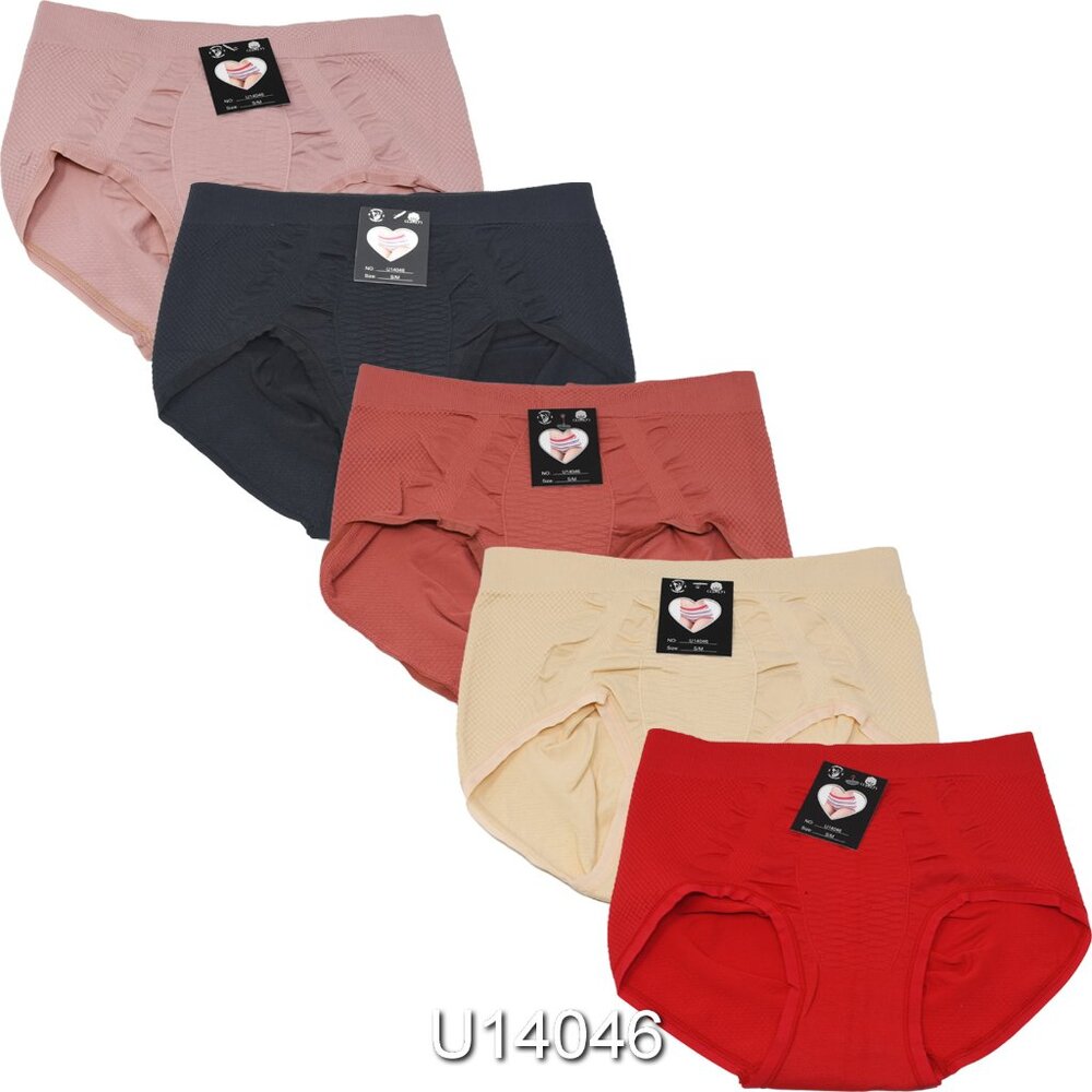 S.CHRISTINA Women's Nylon Briefs Panties 5Pair  NTW